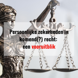 Persoonlijke zekerheden in...